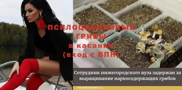 прущие грибы Алексин